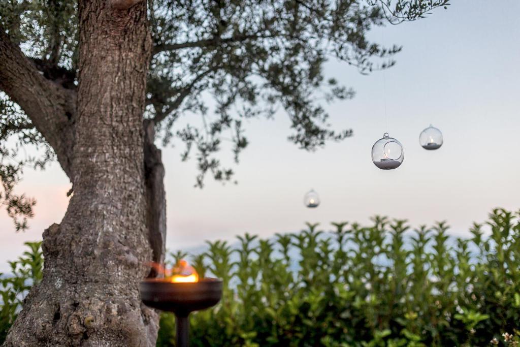 Mosciano SantʼAngelo Casale Santa Maria Country House מראה חיצוני תמונה
